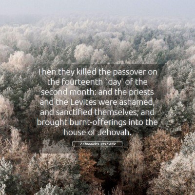 Picture 05 - 2 Chronicles 30:15 ASV - Then they killed the passover on the fourteenth - Bible Verse Picture