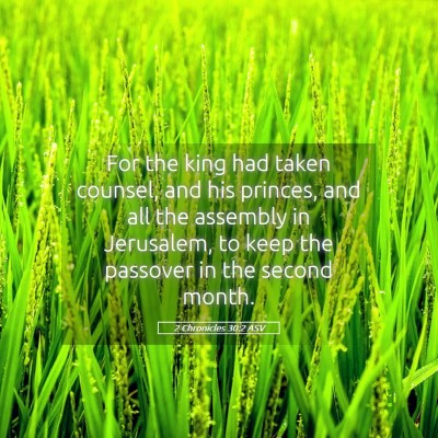 Picture 05 - 2 Chronicles 30:2 ASV - For the king had taken counsel, and his princes, - Bible Verse Picture