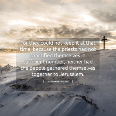 Picture 05 - 2 Chronicles 30:3 ASV - For they could not keep it at that time, because - Bible Verse Picture