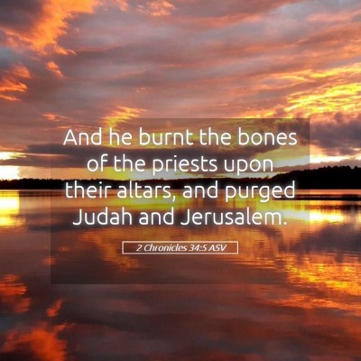 Picture 05 - 2 Chronicles 34:5 ASV - And he burnt the bones of the priests upon their - Bible Verse Picture