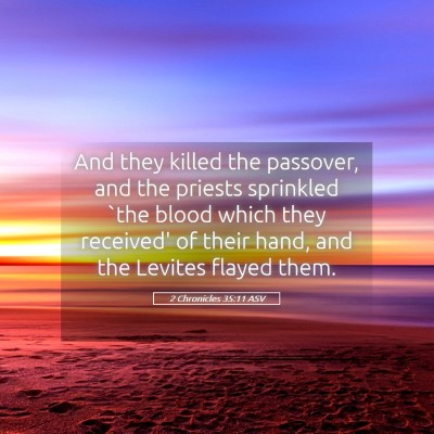 Picture 05 - 2 Chronicles 35:11 ASV - And they killed the passover, and the priests - Bible Verse Picture