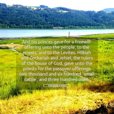 Picture 05 - 2 Chronicles 35:8 ASV - And his princes gave for a freewill-offering unto - Bible Verse Picture