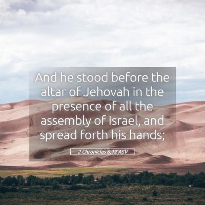 Picture 05 - 2 Chronicles 6:12 ASV - And he stood before the altar of Jehovah in the - Bible Verse Picture
