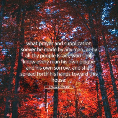 Picture 05 - 2 Chronicles 6:29 ASV - what prayer and supplication soever be made by - Bible Verse Picture