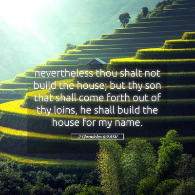 Picture 05 - 2 Chronicles 6:9 ASV - nevertheless thou shalt not build the house; but - Bible Verse Picture