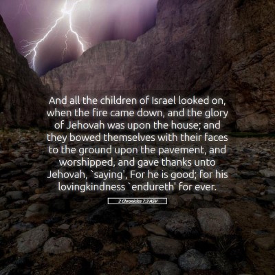 Picture 05 - 2 Chronicles 7:3 ASV - And all the children of Israel looked on, when - Bible Verse Picture