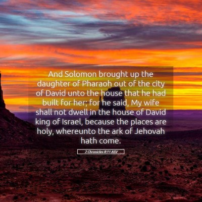 Picture 05 - 2 Chronicles 8:11 ASV - And Solomon brought up the daughter of Pharaoh - Bible Verse Picture
