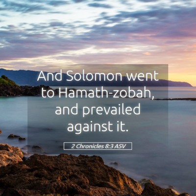 Picture 05 - 2 Chronicles 8:3 ASV - And Solomon went to Hamath-zobah, and prevailed - Bible Verse Picture
