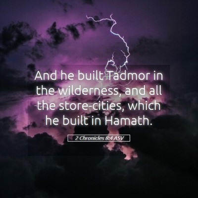 Picture 05 - 2 Chronicles 8:4 ASV - And he built Tadmor in the wilderness, and all - Bible Verse Picture