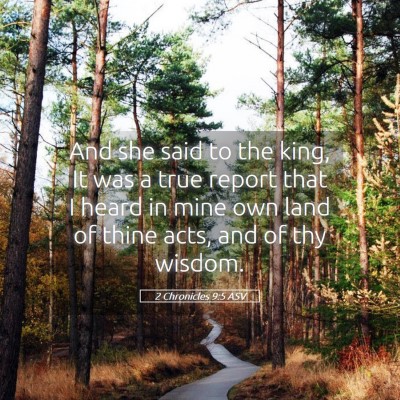 Picture 05 - 2 Chronicles 9:5 ASV - And she said to the king, It was a true report - Bible Verse Picture