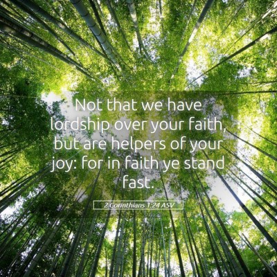 Picture 05 - 2 Corinthians 1:24 ASV - Not that we have lordship over your faith, but - Bible Verse Picture