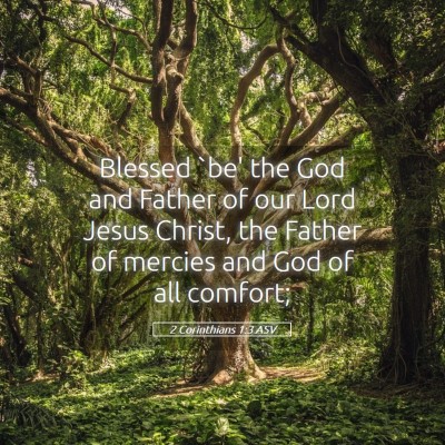 Picture 05 - 2 Corinthians 1:3 ASV - Blessed `be' the God and Father of our Lord Jesus - Bible Verse Picture