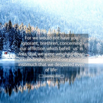 Picture 05 - 2 Corinthians 1:8 ASV - For we would not have you ignorant, brethren, - Bible Verse Picture