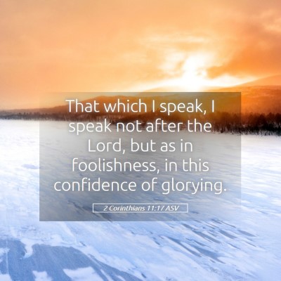 Picture 05 - 2 Corinthians 11:17 ASV - That which I speak, I speak not after the Lord, - Bible Verse Picture