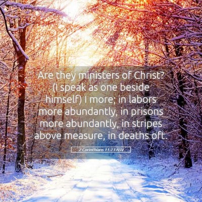 Picture 05 - 2 Corinthians 11:23 ASV - Are they ministers of Christ? (I speak as one - Bible Verse Picture