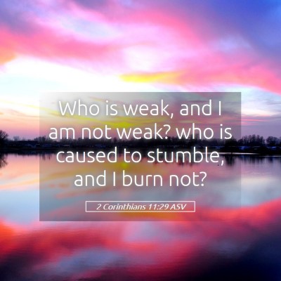 Picture 05 - 2 Corinthians 11:29 ASV - Who is weak, and I am not weak? who is caused to - Bible Verse Picture