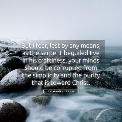 Picture 05 - 2 Corinthians 11:3 ASV - But I fear, lest by any means, as the serpent - Bible Verse Picture