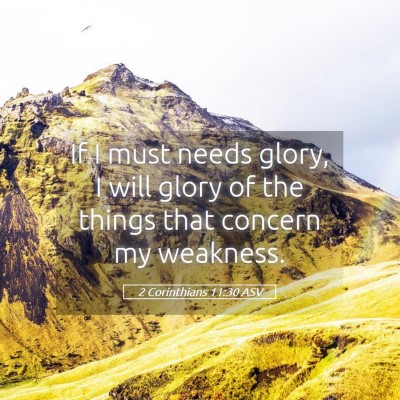Picture 05 - 2 Corinthians 11:30 ASV - If I must needs glory, I will glory of the things - Bible Verse Picture