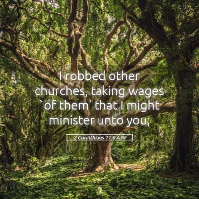 Picture 05 - 2 Corinthians 11:8 ASV - I robbed other churches, taking wages `of them' - Bible Verse Picture