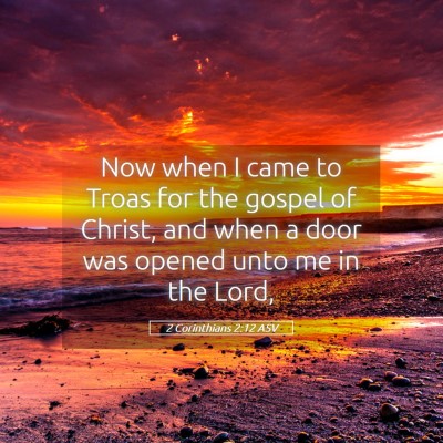 Picture 05 - 2 Corinthians 2:12 ASV - Now when I came to Troas for the gospel of - Bible Verse Picture