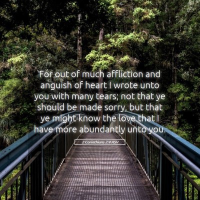 Picture 05 - 2 Corinthians 2:4 ASV - For out of much affliction and anguish of heart I - Bible Verse Picture