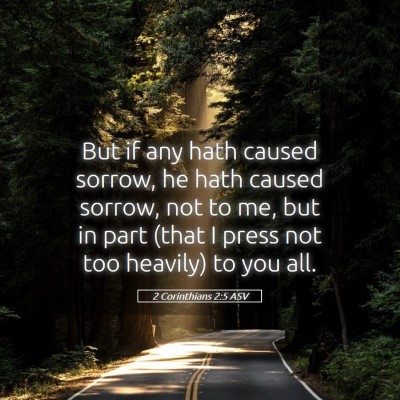 Picture 05 - 2 Corinthians 2:5 ASV - But if any hath caused sorrow, he hath caused - Bible Verse Picture