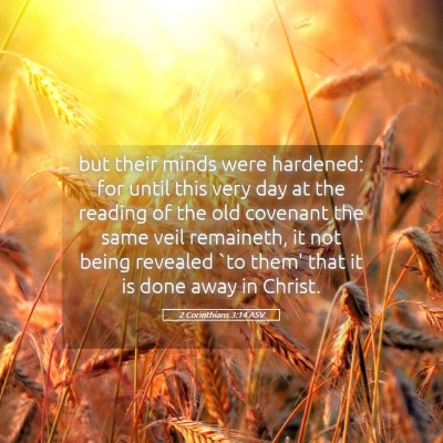 Picture 05 - 2 Corinthians 3:14 ASV - but their minds were hardened: for until this - Bible Verse Picture