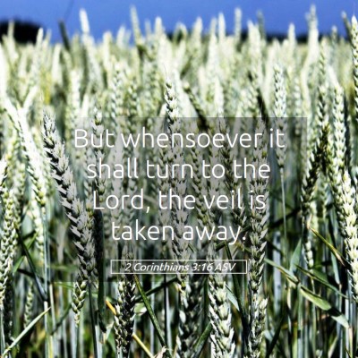 Picture 05 - 2 Corinthians 3:16 ASV - But whensoever it shall turn to the Lord, the - Bible Verse Picture