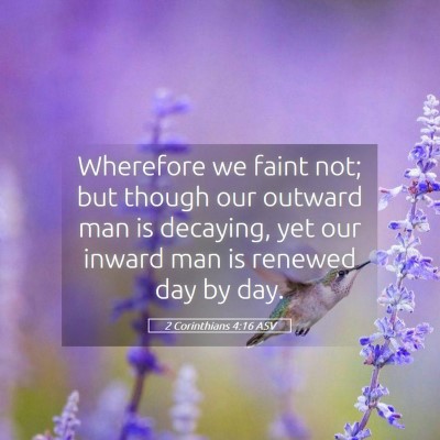Picture 05 - 2 Corinthians 4:16 ASV - Wherefore we faint not; but though our outward - Bible Verse Picture