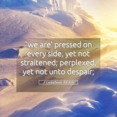 Picture 05 - 2 Corinthians 4:8 ASV - `we are' pressed on every side, yet not - Bible Verse Picture