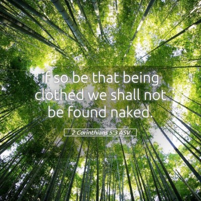 Picture 05 - 2 Corinthians 5:3 ASV - if so be that being clothed we shall not be found - Bible Verse Picture