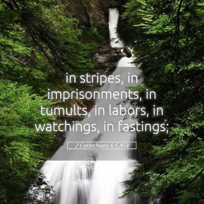 Picture 05 - 2 Corinthians 6:5 ASV - in stripes, in imprisonments, in tumults, in - Bible Verse Picture