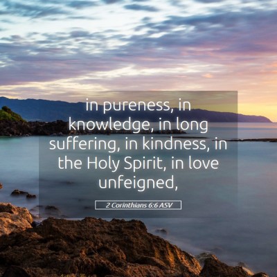 Picture 05 - 2 Corinthians 6:6 ASV - in pureness, in knowledge, in long suffering, in - Bible Verse Picture