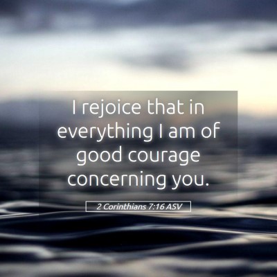Picture 05 - 2 Corinthians 7:16 ASV - I rejoice that in everything I am of good courage - Bible Verse Picture