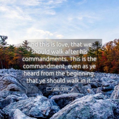 Picture 05 - 2 John 1:6 ASV - And this is love, that we should walk after his - Bible Verse Picture