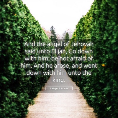 Picture 05 - 2 Kings 1:15 ASV - And the angel of Jehovah said unto Elijah, Go - Bible Verse Picture