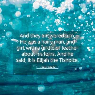 Picture 05 - 2 Kings 1:8 ASV - And they answered him, He was a hairy man, and - Bible Verse Picture