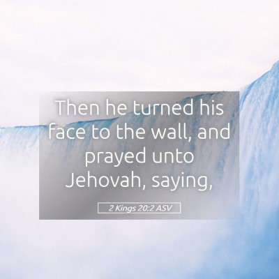 Picture 05 - 2 Kings 20:2 ASV - Then he turned his face to the wall, and prayed - Bible Verse Picture