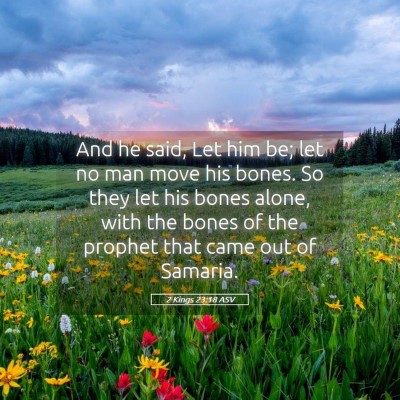 Picture 05 - 2 Kings 23:18 ASV - And he said, Let him be; let no man move his - Bible Verse Picture