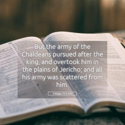 Picture 05 - 2 Kings 25:5 ASV - But the army of the Chaldeans pursued after the - Bible Verse Picture