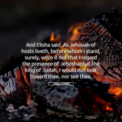 Picture 05 - 2 Kings 3:14 ASV - And Elisha said, As Jehovah of hosts liveth, - Bible Verse Picture