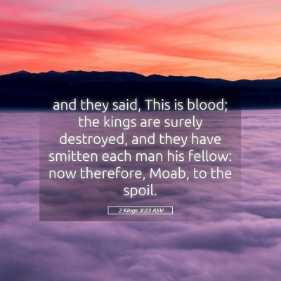 Picture 05 - 2 Kings 3:23 ASV - and they said, This is blood; the kings are - Bible Verse Picture