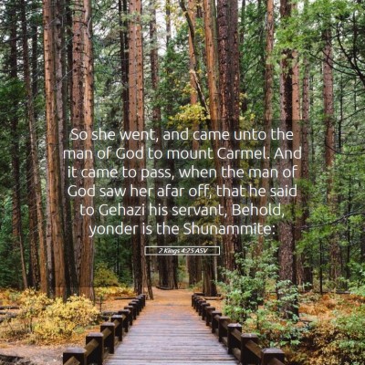 Picture 05 - 2 Kings 4:25 ASV - So she went, and came unto the man of God to - Bible Verse Picture