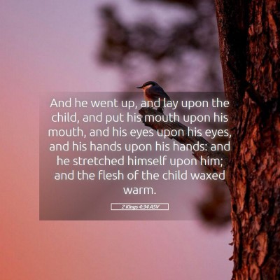 Picture 05 - 2 Kings 4:34 ASV - And he went up, and lay upon the child, and put - Bible Verse Picture