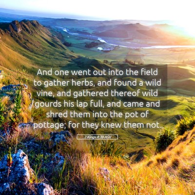 Picture 05 - 2 Kings 4:39 ASV - And one went out into the field to gather herbs, - Bible Verse Picture