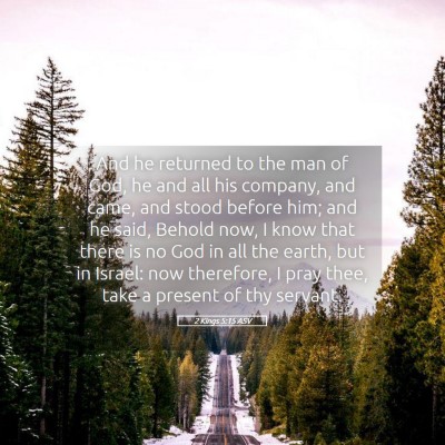 Picture 05 - 2 Kings 5:15 ASV - And he returned to the man of God, he and all his - Bible Verse Picture