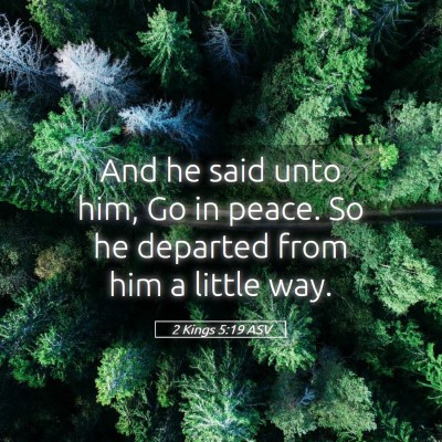 Picture 05 - 2 Kings 5:19 ASV - And he said unto him, Go in peace. So he departed - Bible Verse Picture