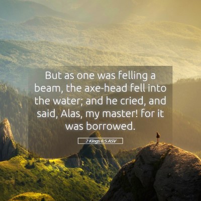 Picture 05 - 2 Kings 6:5 ASV - But as one was felling a beam, the axe-head fell - Bible Verse Picture