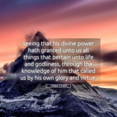 Picture 05 - 2 Peter 1:3 ASV - seeing that his divine power hath granted unto us - Bible Verse Picture