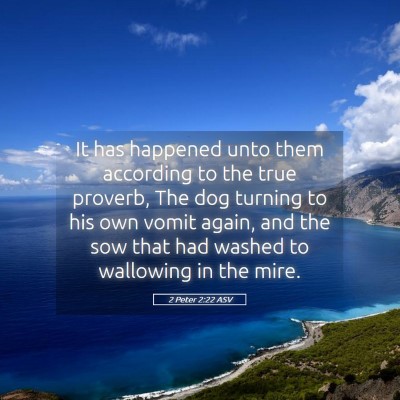Picture 05 - 2 Peter 2:22 ASV - It has happened unto them according to the true - Bible Verse Picture